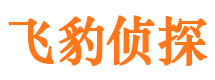 无为市侦探公司